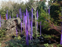 Museum of Glass Museum of Glass