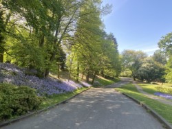 Volunteer Park West Volunteer Park West